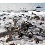 Insel Poel - Steilküste