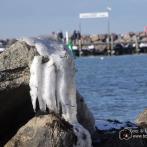 Insel Poel - Hafen