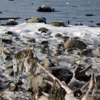 Insel Poel - Steilküste