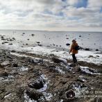 Insel Poel - Steilküste