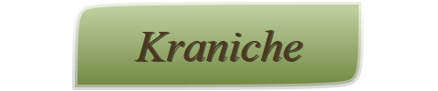 Kraniche