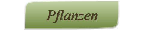 Pflanzen