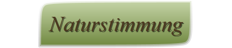 Naturstimmung