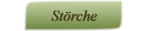Störche