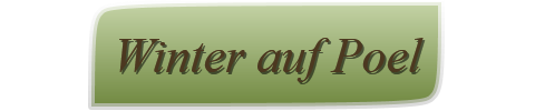 Winter auf Poel