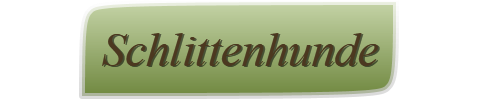 Schlittenhunde